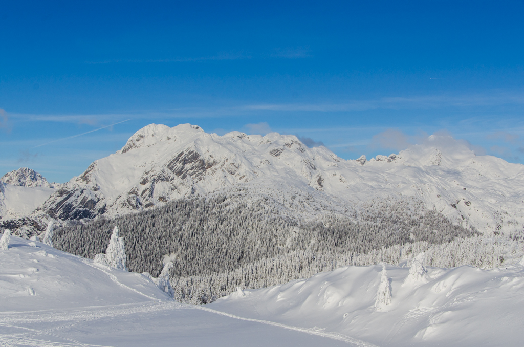 Velika Planina
